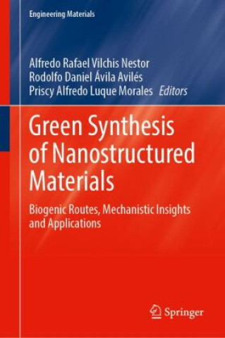 Książka Green Synthesis of Nanostructured Materials Alfredo Rafael Vilchis Nestor
