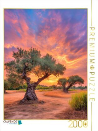 Játék CALVENDO Puzzle Ein Motiv aus dem Kalender Wo die Zeit Wurzeln schlägt | 2000 Teile Lege-Größe 90 × 67 cm Foto-Puzzle für glückliche Stunden Calvendo