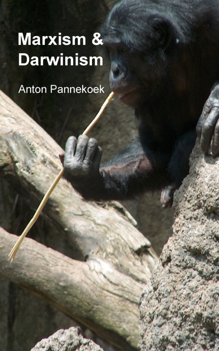 Buch Marxism and Darwinism Anton Pannekoek