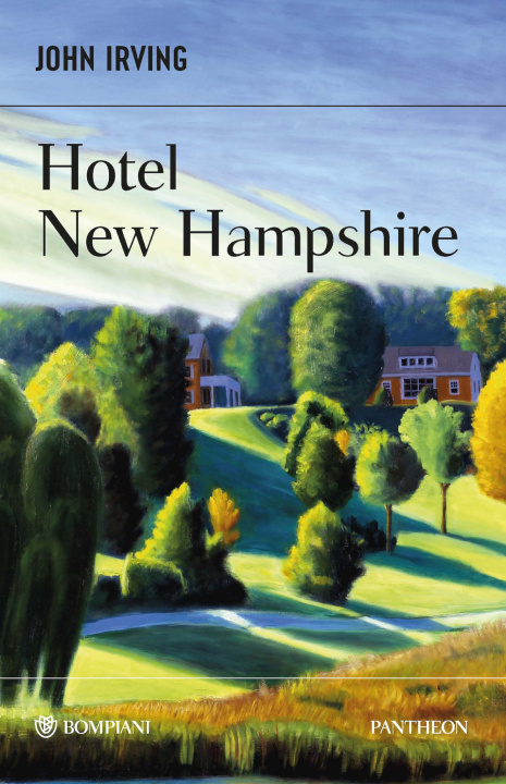 Buch Hotel New Hampshire John Irving