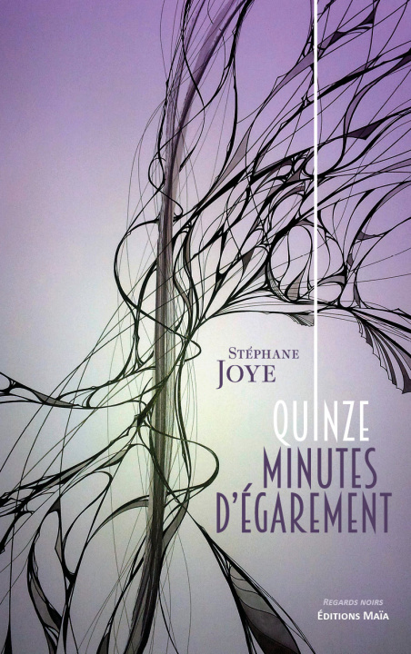 Knjiga Quinze minutes d’égarement Stéphane Joye