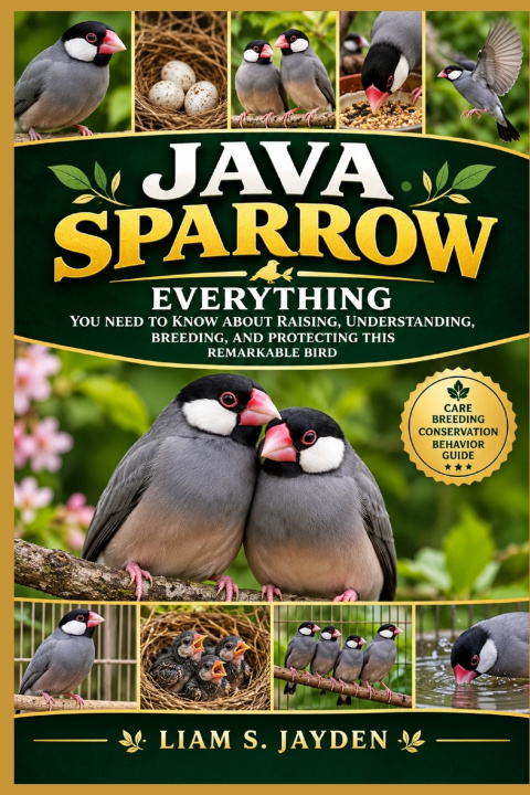 Könyv JAVA SPARROW LIAM S. JAYDEN