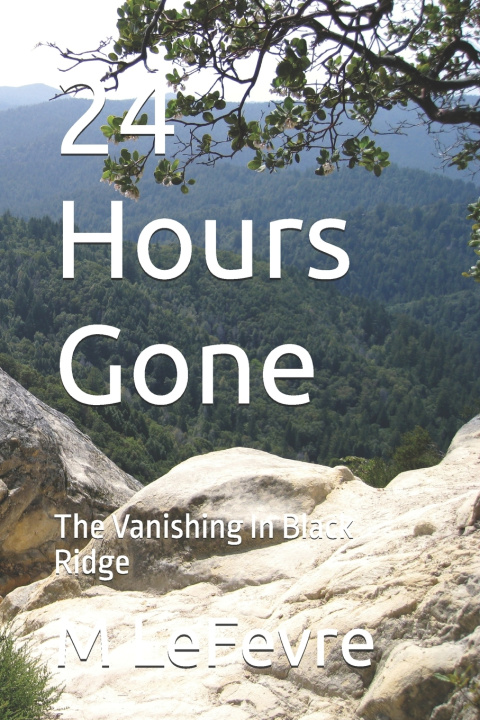 Livro 24 Hours Gone M LeFevre