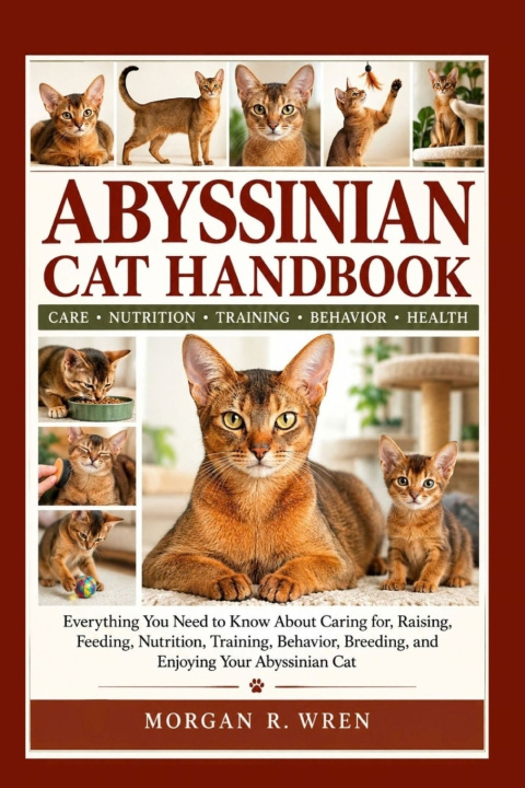 Könyv ABYSSINIAN CAT HANDBOOK MORGAN R. WREN