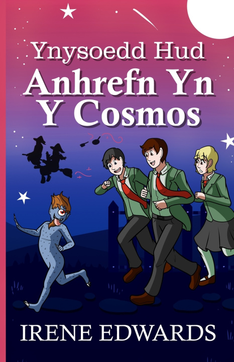 Book Ynysoedd Hud Irene Edwards