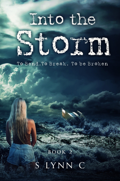 Book Into the Storm (Hunted S Lynn C