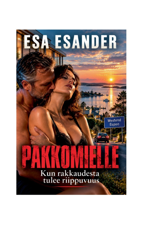Buch Pakkomielle Esa Esander