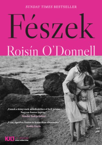 Boek Fészek Roisín O'donnell