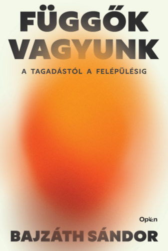 Książka Függők vagyunk Bajzáth Sándor