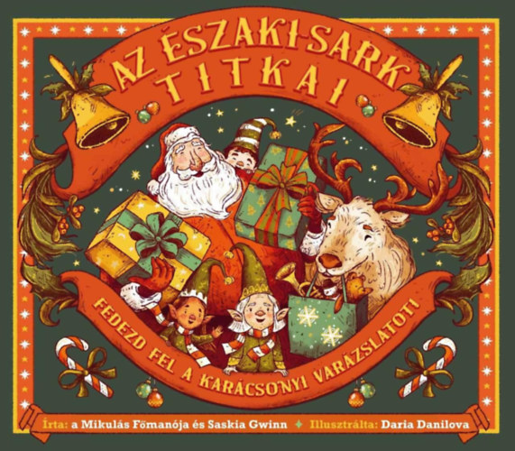 Boek Az Északi-sark titkai Saskia Gwinn
