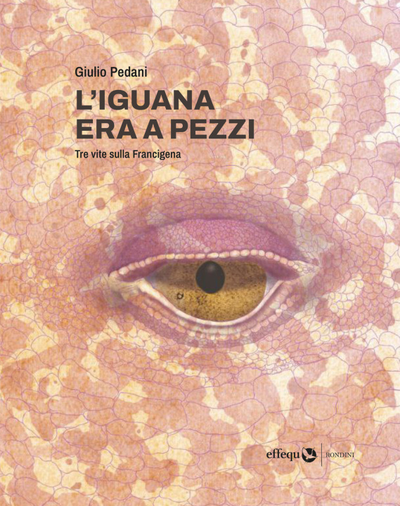 Boek iguana era a pezzi. Tre vite lungo la Francigena Giulio Pedani