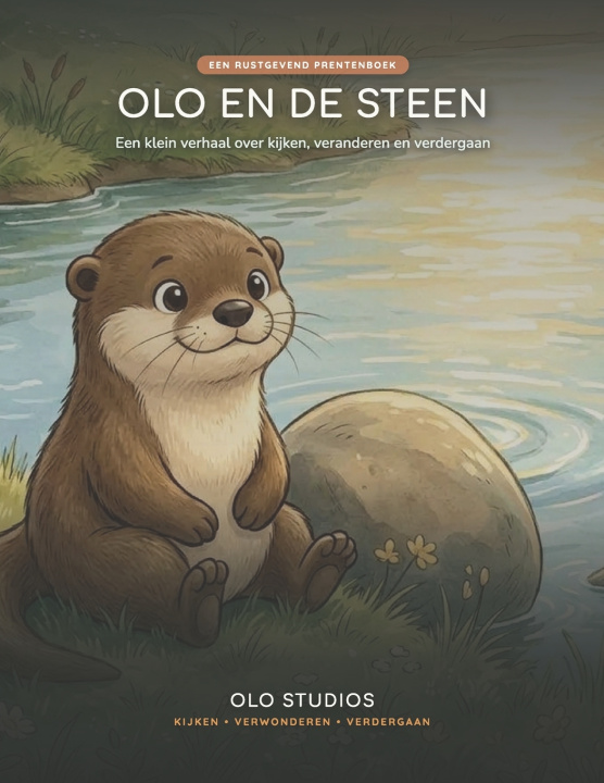 Book Olo en de steen Ashley Bruin de