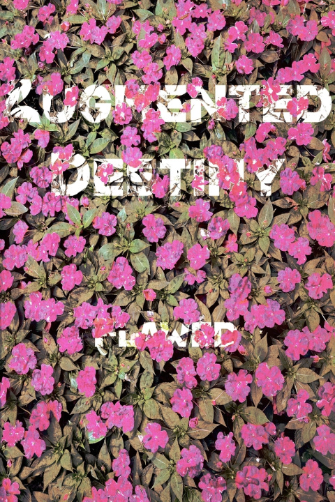 Book Augmented Destiny Theodis Houston III