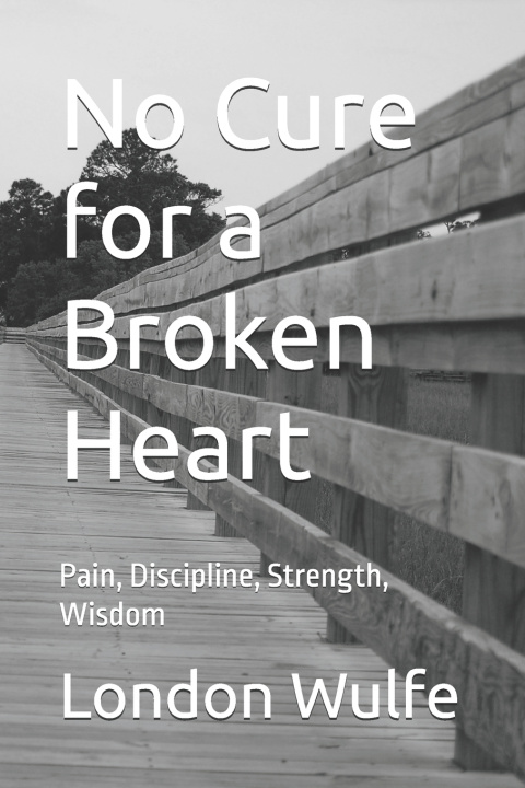 Knjiga No Cure for a Broken Heart London Wulfe