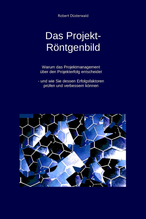 Könyv Das Projekt-Röntgenbild Robert Düsterwald