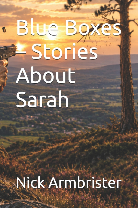 Book Blue Boxes - Stories About Sarah Nick Armbrister