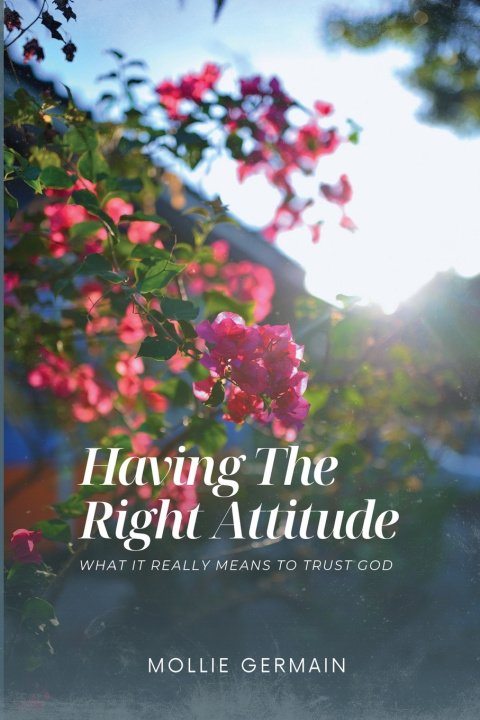 Libro HAVING THE RIGHT ATTITUDE Mollie Germain