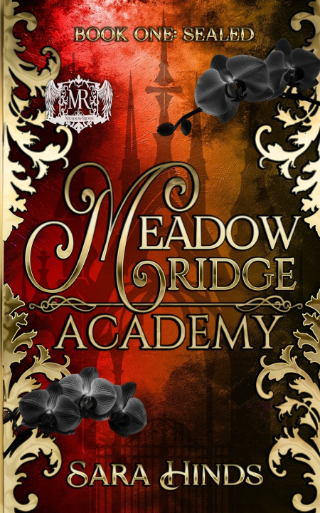 Book Meadow Ridge Academy Sara Hinds