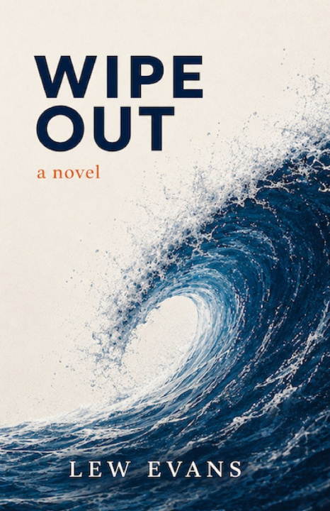 Book Wipe Out Lew Evans