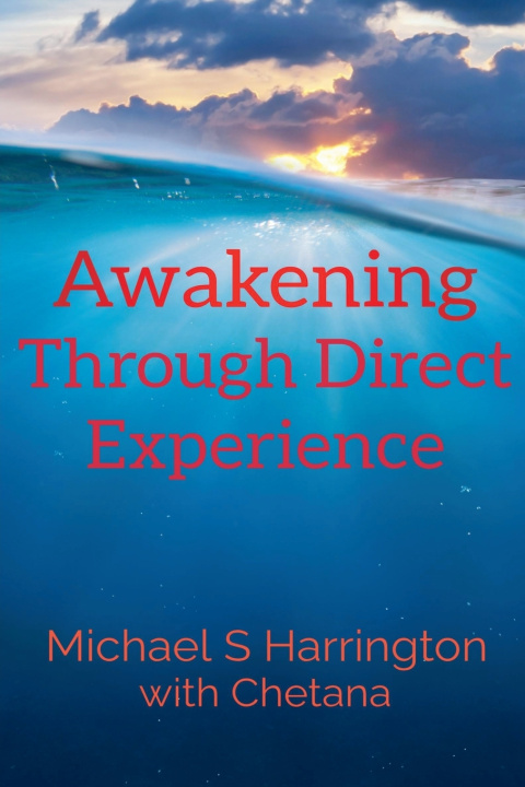 Könyv Awakening Through Direct Experience Michael Harrington