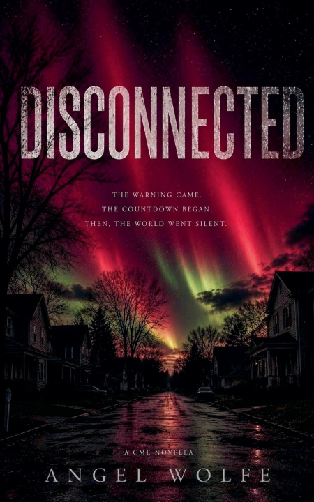 Kniha Disconnected Angel Wolfe