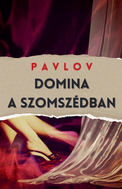 Kniha Domina a szomszédban Pavlov