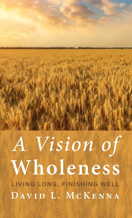 Knjiga A Vision of Wholeness David L. McKenna