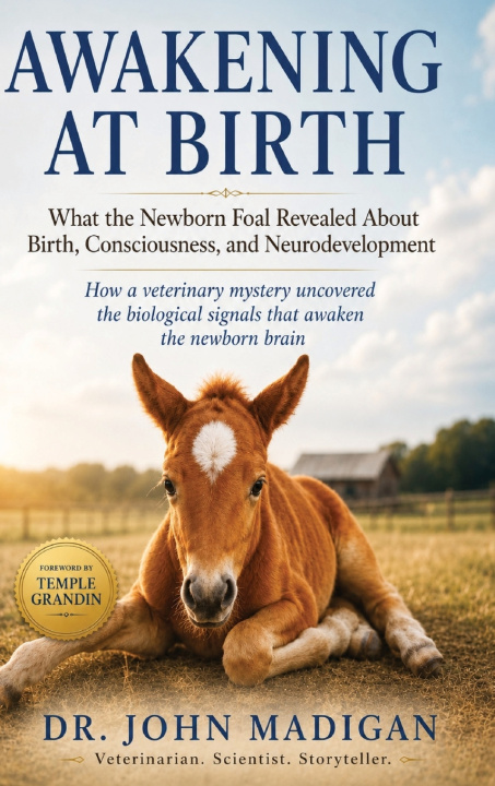 Book AWAKENING AT BIRTH John E Madigan
