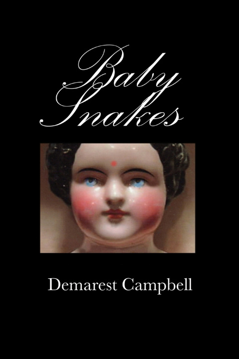Book Baby Snakes Demarest Campbell