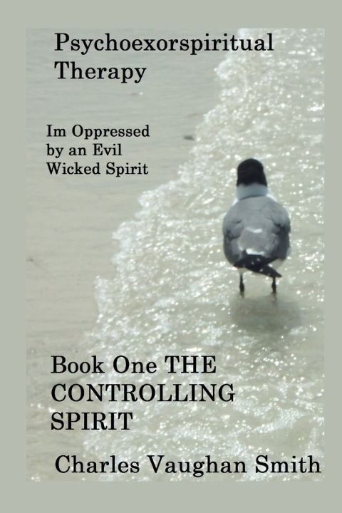 Kniha Psychoexorspiritual Therapy Im Oppessed by an Evil Spirit Book One Charles Vaughan Smith