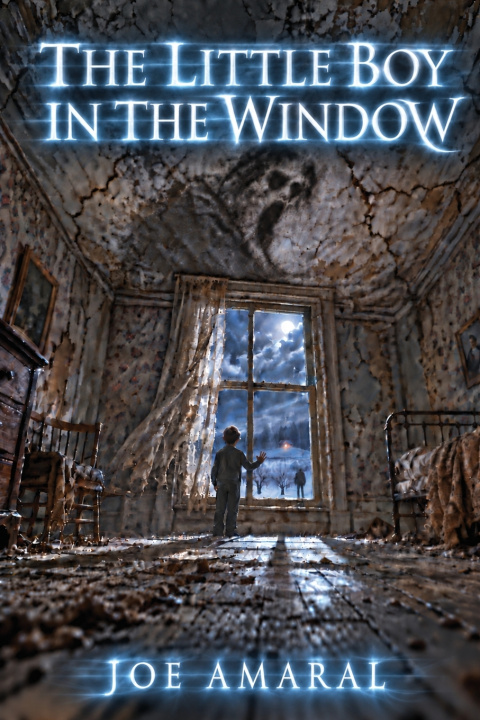 Boek The Little Boy in The Window Joe Amaral