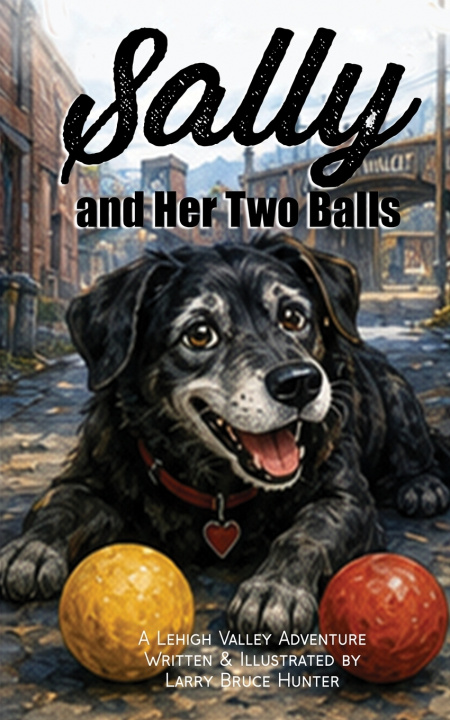Kniha Sally And Her Two Balls Larry Bruce Hunter