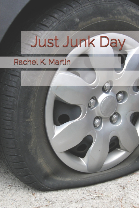Boek Just Junk Day Rachel K. Martin
