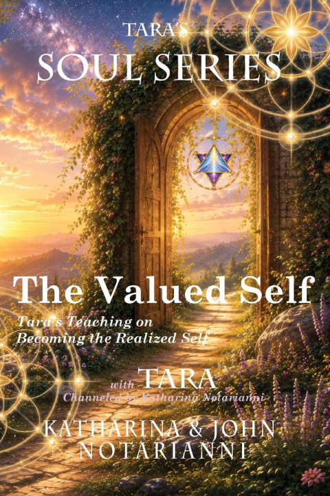 Livro The Valued Self Katharina Notarianni