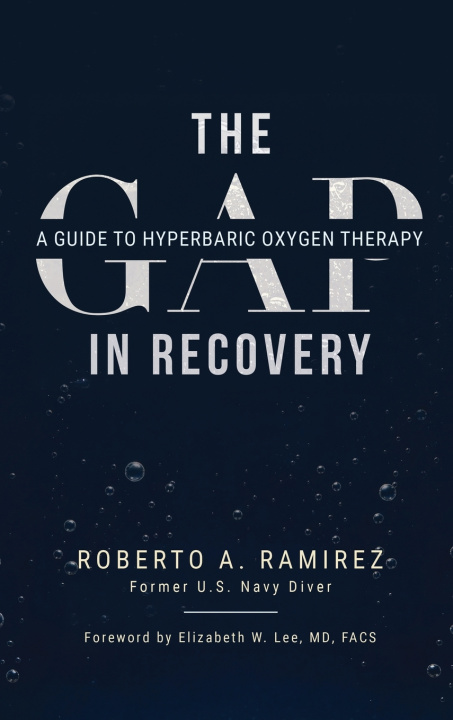 Boek The Gap in Recovery Roberto A. Ramirez