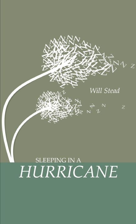 Knjiga Sleeping in a Hurricane Will Stead