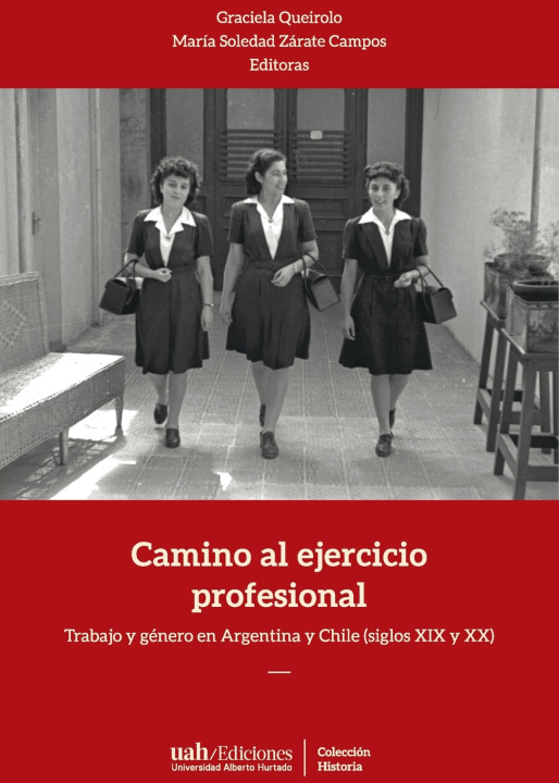 Knjiga Camino al ejercicio profesional Graciela Queirolo