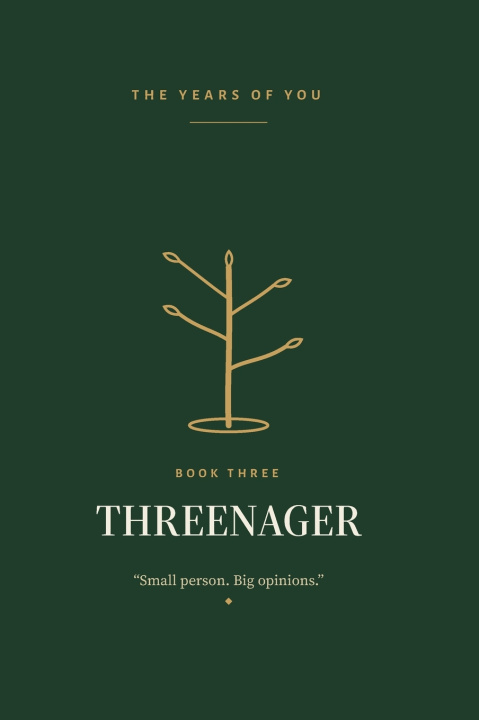 Kniha Threenager Brian Kimberlin