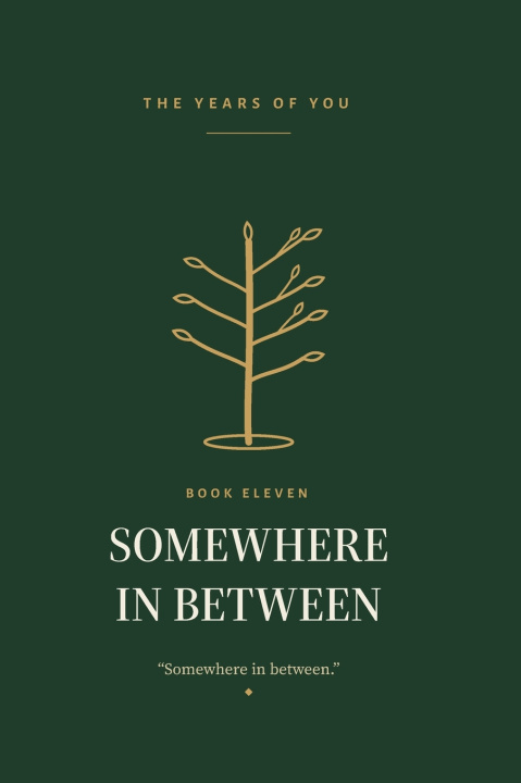 Boek Somewhere in Between Brian Kimberlin