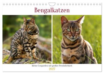 Kalender/agenda Bengalkatzen - Kleine Leoparden mit großer Persönlichkeit (Wandkalender 2027 DIN A4 quer), CALVENDO Monatskalender Calvendo