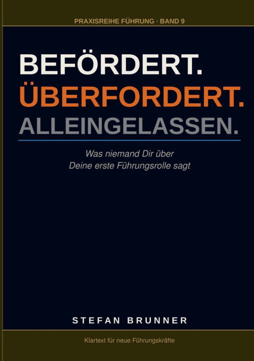Livro Befördert.Überfordert.Alleingelassen. 