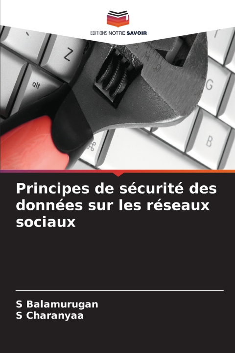 Könyv Principes de sécurité des données sur les réseaux sociaux S Balamurugan