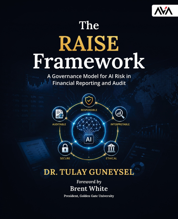 Book The RAISE Framework Dr. Tulay Guneysel