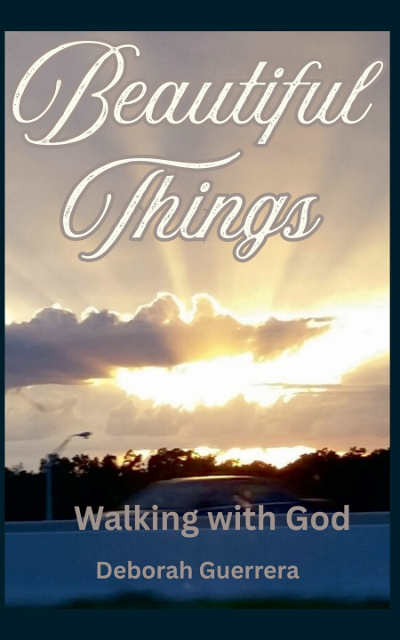 Knjiga Beautiful Things Deborah Guerrera