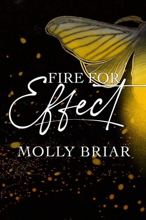 Kniha Fire for Effect Molly Briar