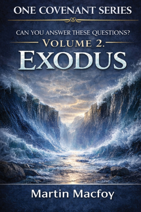Книга One Covenant Bible Questions & Answers Series Volume 2 Martin M Macfoy