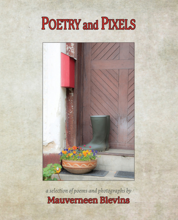 Knjiga Poetry and Pixels Blevins