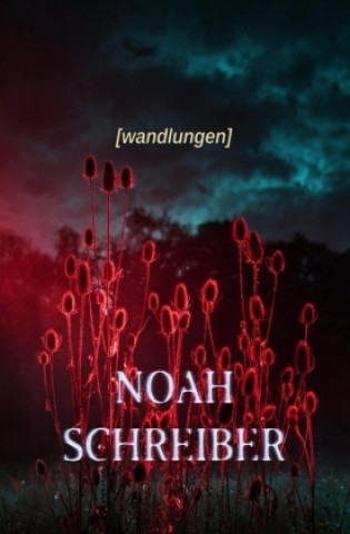 Knjiga wandlungen Noah Schreiber
