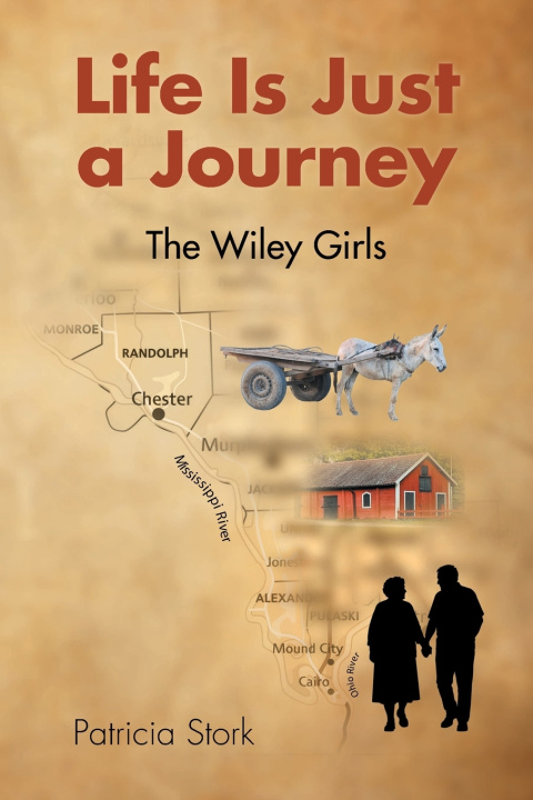Knjiga Life Is Just a Journey Patricia Stork