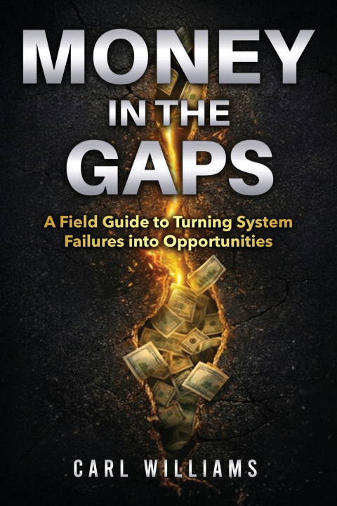 Buch Money in the Gaps Williams